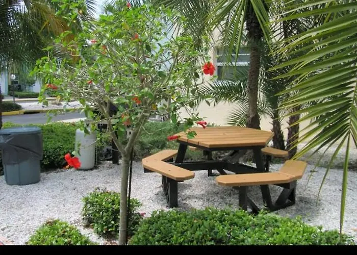 Apartment Beach Condo Clearwater Beach